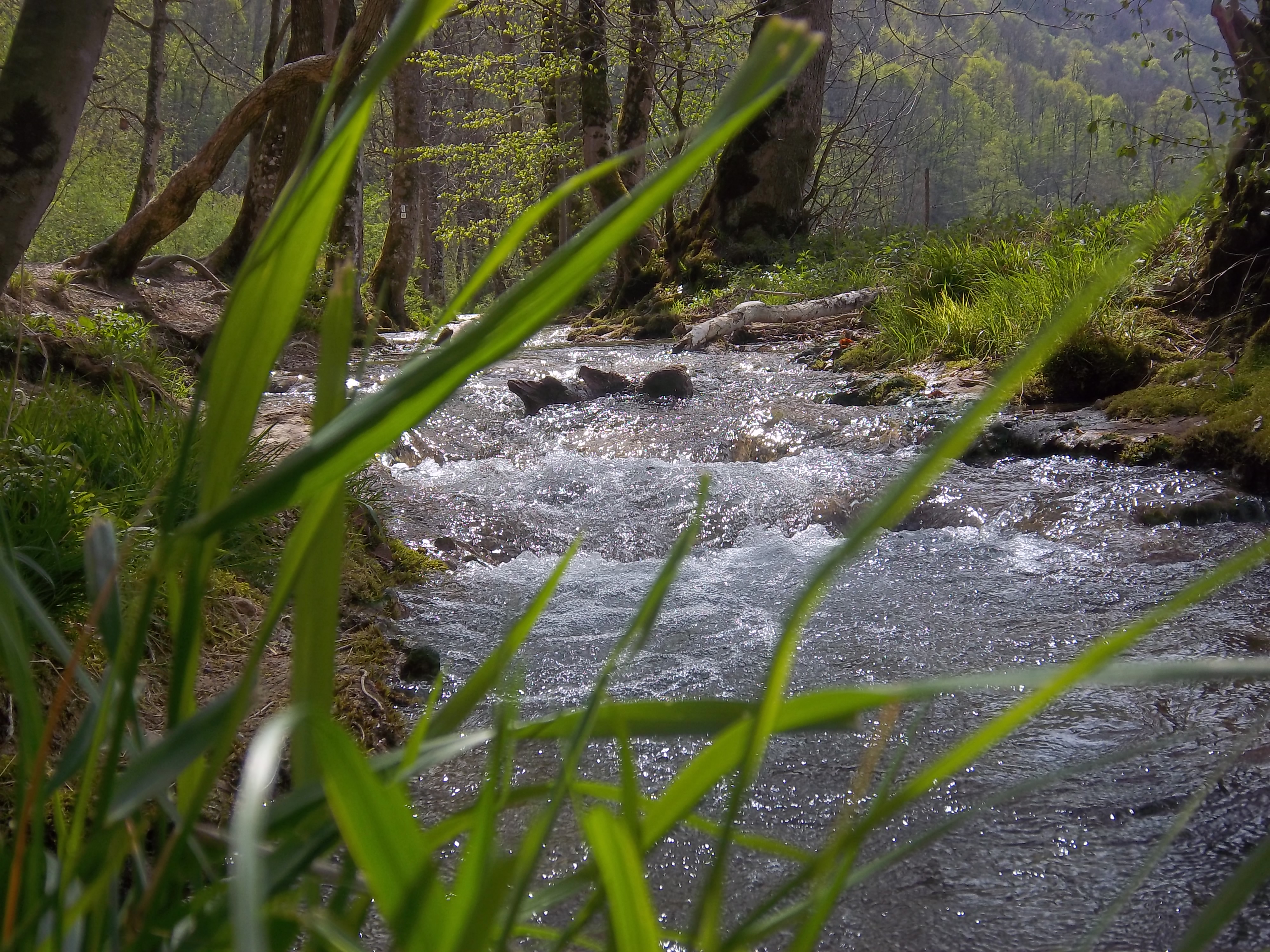 Dieses Bild kann leider nicht angezeigt werden...:(